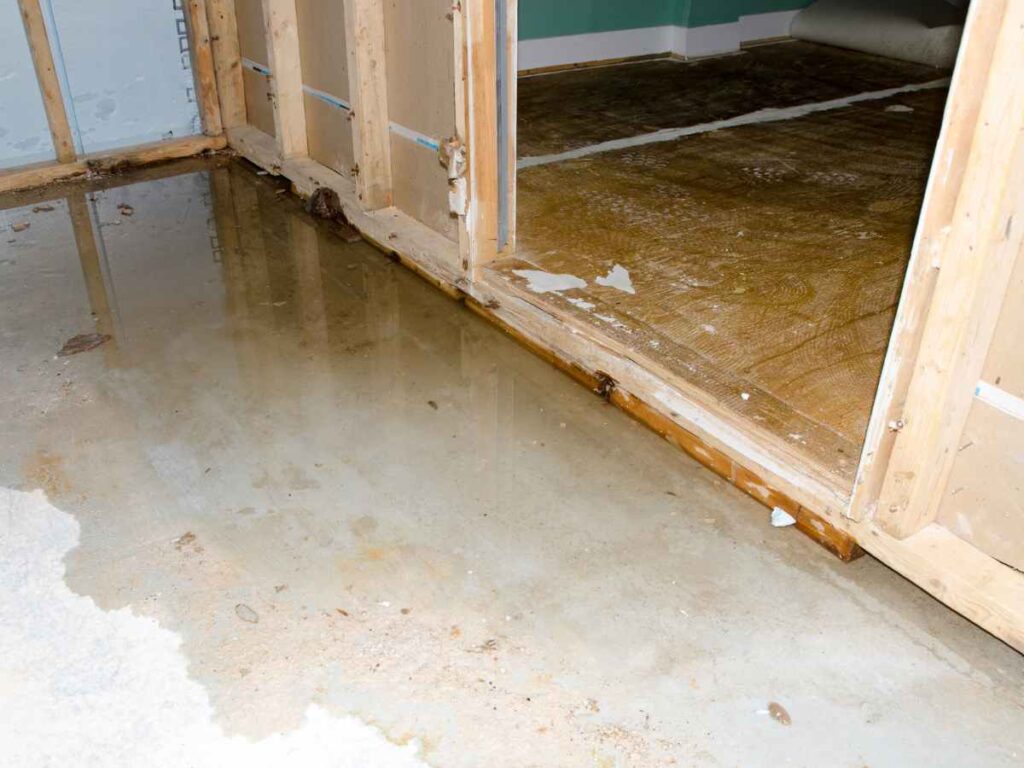 water damage dry out