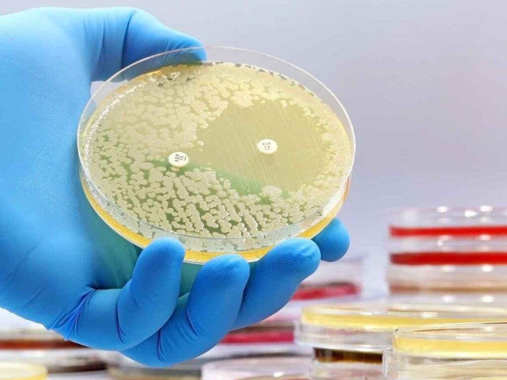 bacterial testing in Florida