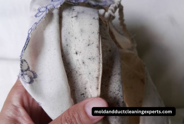 Does Dry Cleaning Remove Mold